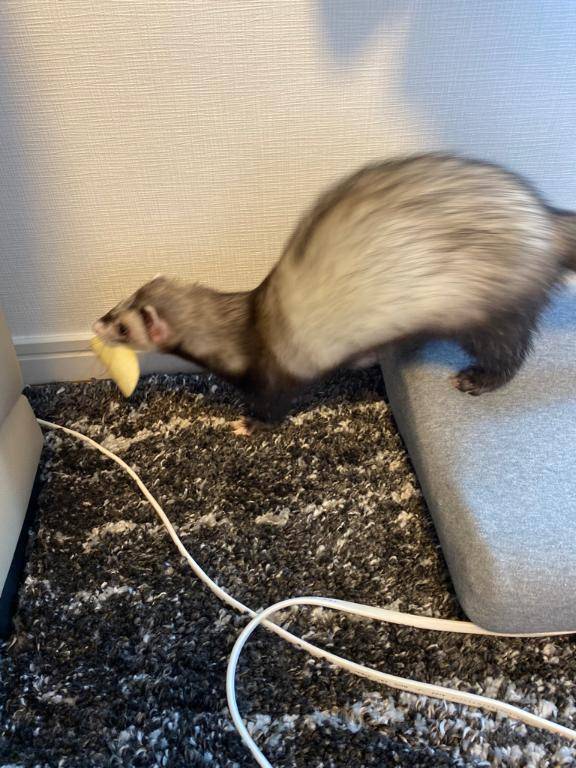 こあpicture