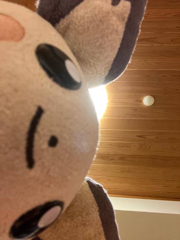 すうpicture