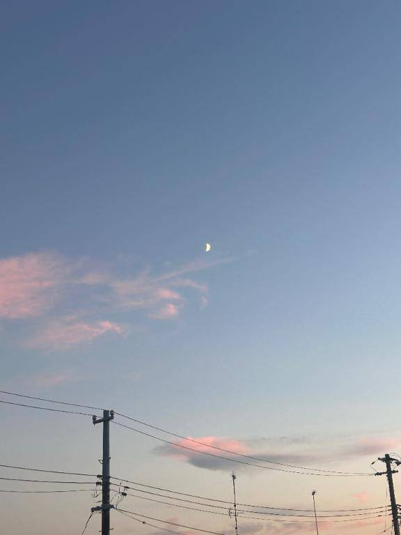 なおpicture