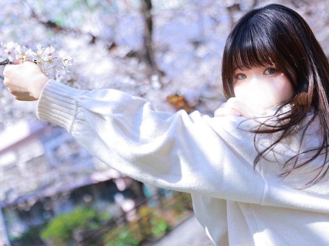 写真2